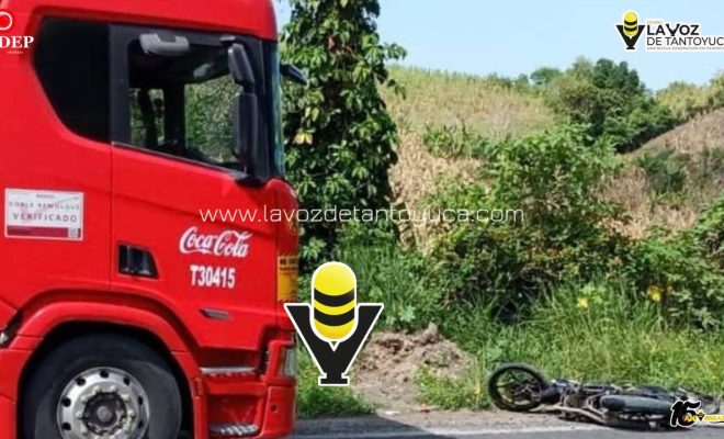 photo_5114135473839344714_y