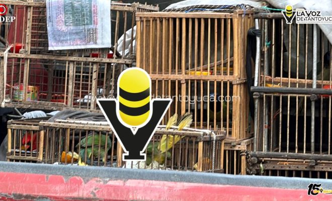 photo_5114135473839344727_y