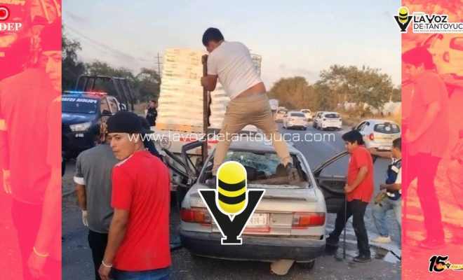 photo_5114135473839344745_y