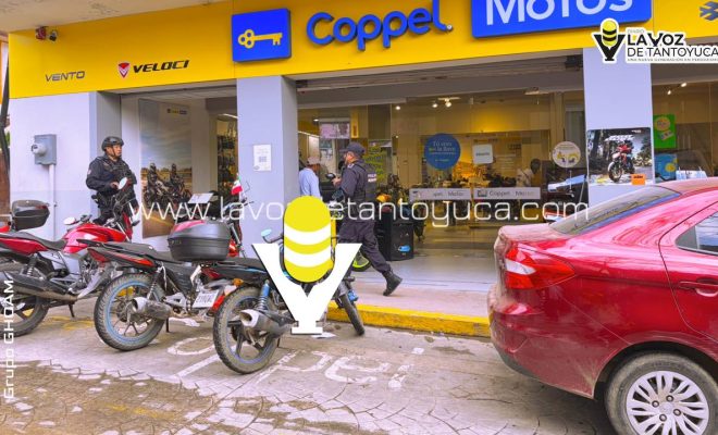 photo_5114194177452346266_y photo_5114194177452346266_y