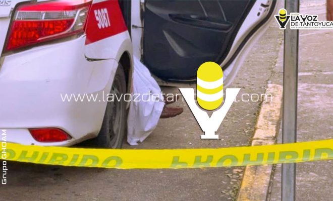 photo_5114194177452346280_y (1)