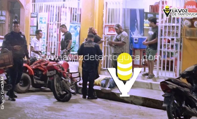 photo_5114194177452346302_y