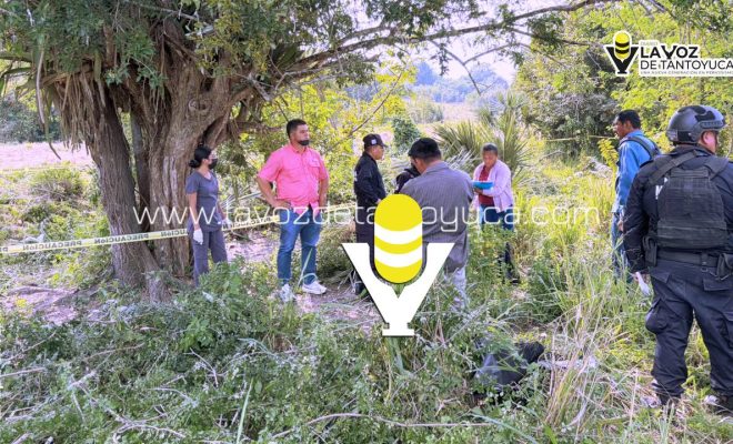 photo_5116099884506352551_y