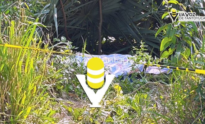 photo_5116099884506352553_y