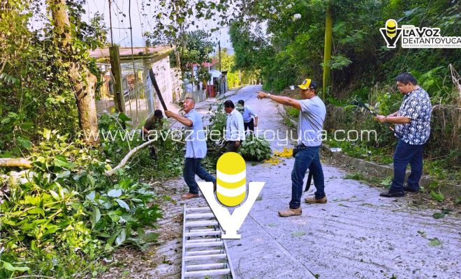 photo_5116099884506352574_y