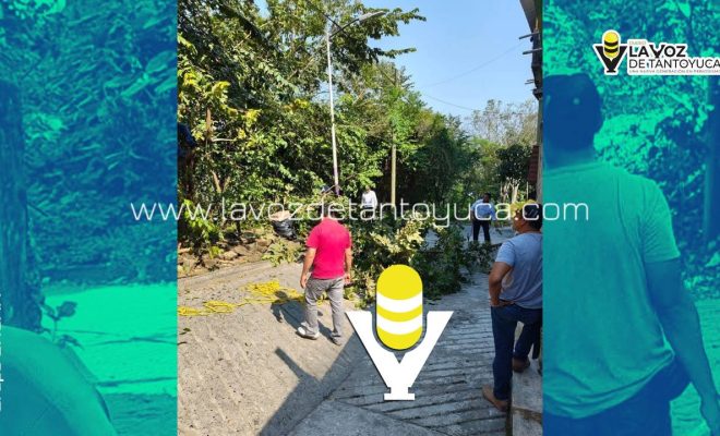 photo_5116099884506352577_y