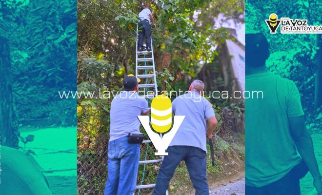 photo_5116099884506352578_y