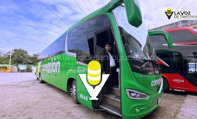 photo_5116410195893488575_y