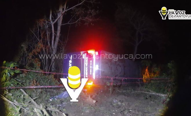 photo_5116410195893488736_y