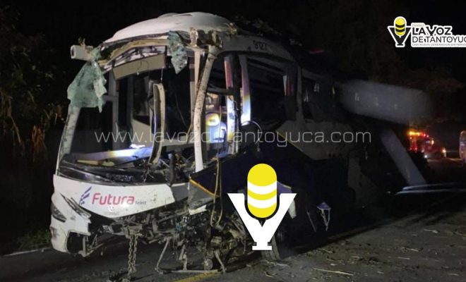 photo_5116410195893488737_y