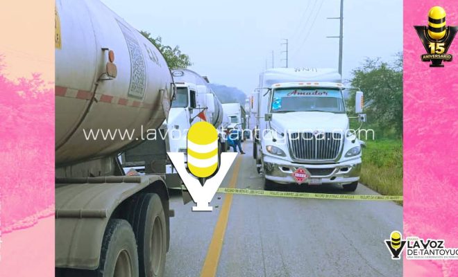 photo_5118351684320037850_y