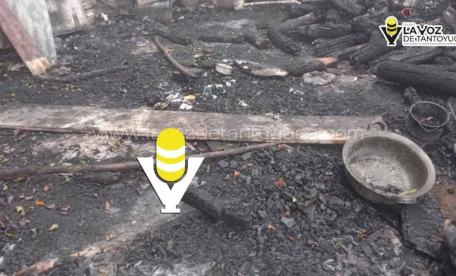 photo_5118661995707173744_y