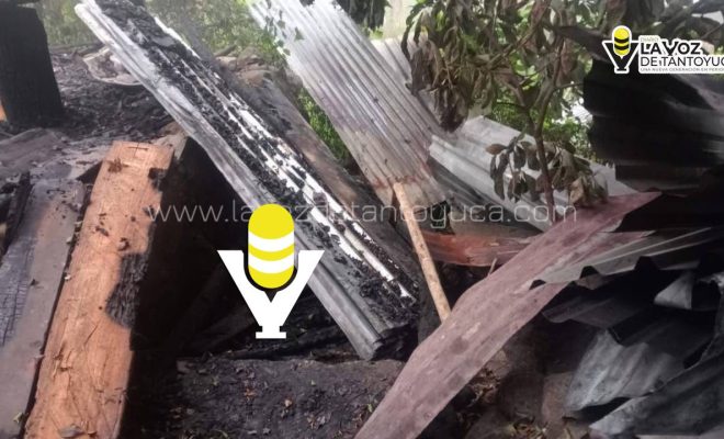 photo_5118661995707173745_y