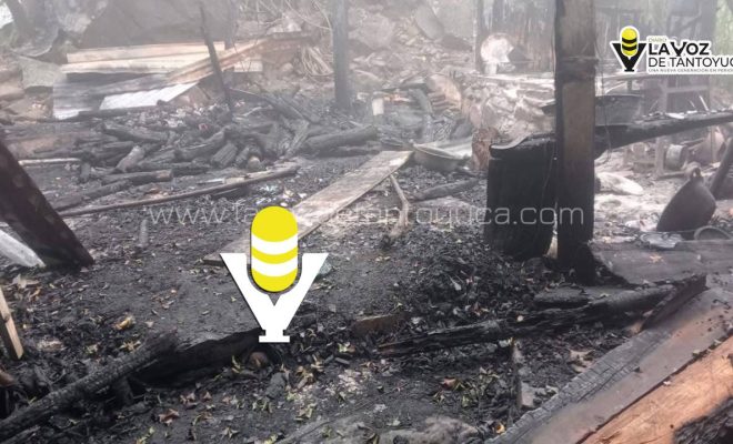 photo_5118661995707173746_y