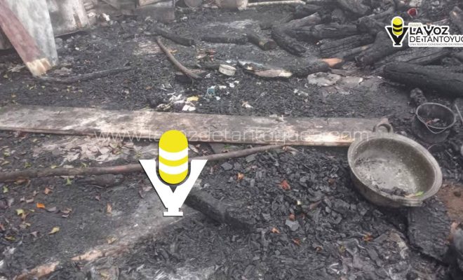 photo_5118661995707173747_y