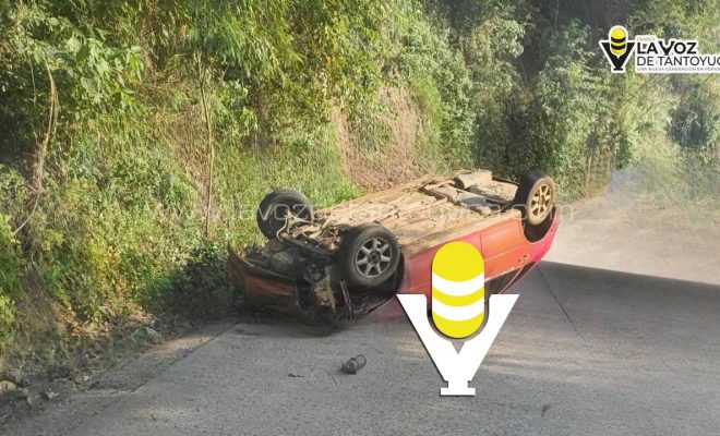 photo_5120935807228251203_y