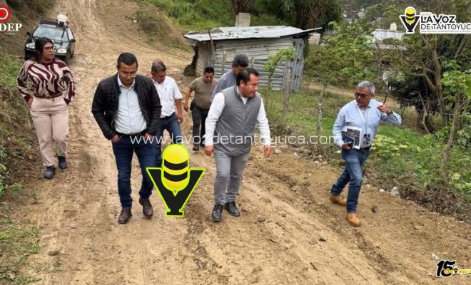 photo_5120983352516217921_y