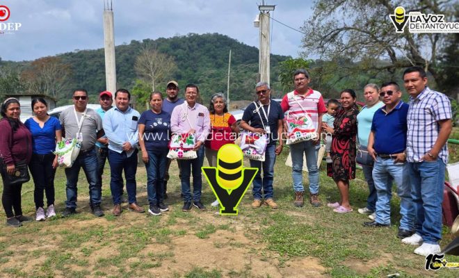 photo_5120983352516217922_y