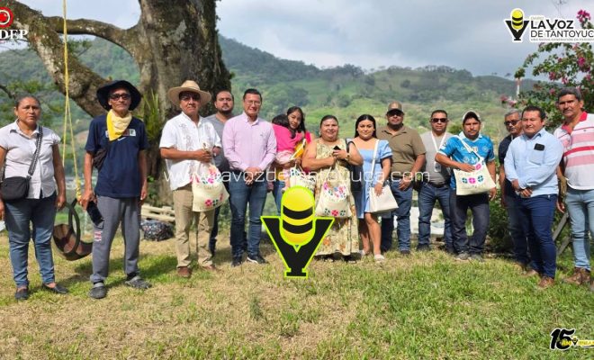 photo_5120983352516217923_y