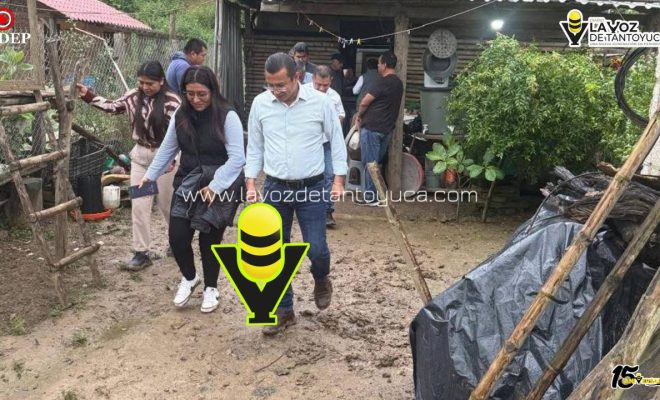 photo_5120983352516217925_y