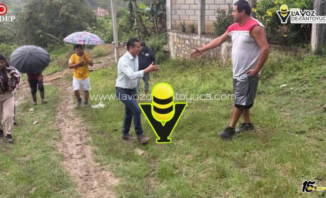 photo_5120983352516217927_y