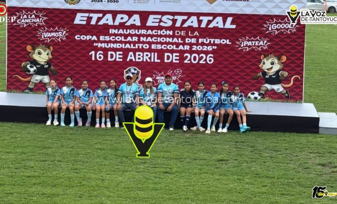 photo_5120983352516217929_y