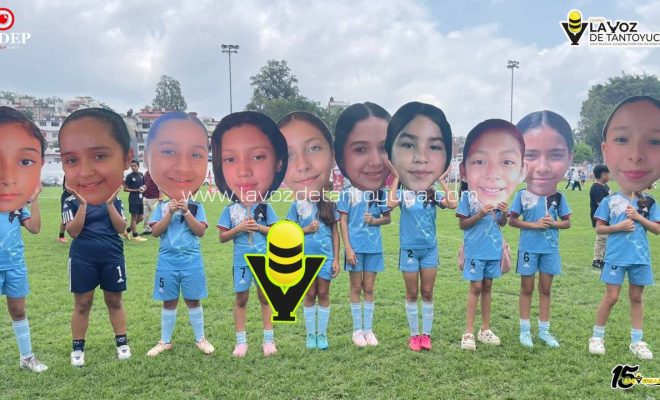 photo_5120983352516217931_y