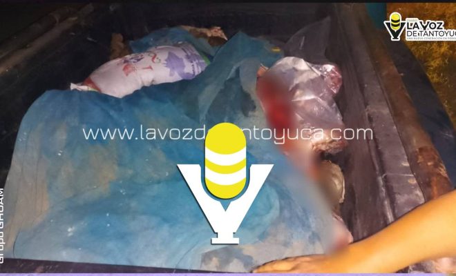 photo_5121071888972057586_y