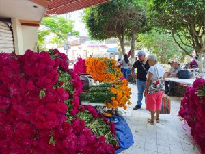 Gobierno municipal de Chicontepec brinda apoyo a comerciantes en vísperas del Xantolo 2026