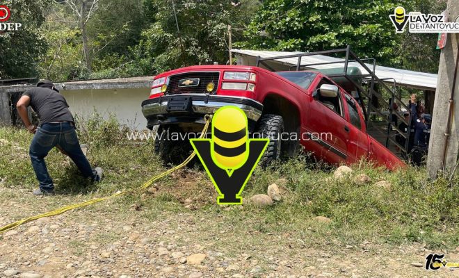 photo_5123042269643607098_y