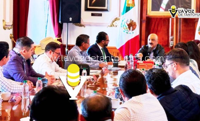 photo_5123323688785742979_y