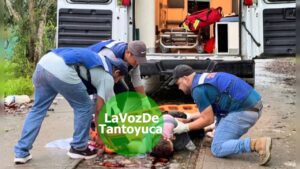 Trasladan a México a maestra jubilada secuestrada en Tantoyuca