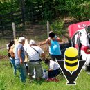 Taxi termina fuera de la carretera tras aparatoso accidente en Potrero del Llano