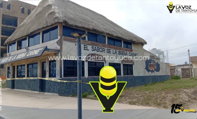 photo_5127656262815386912_y