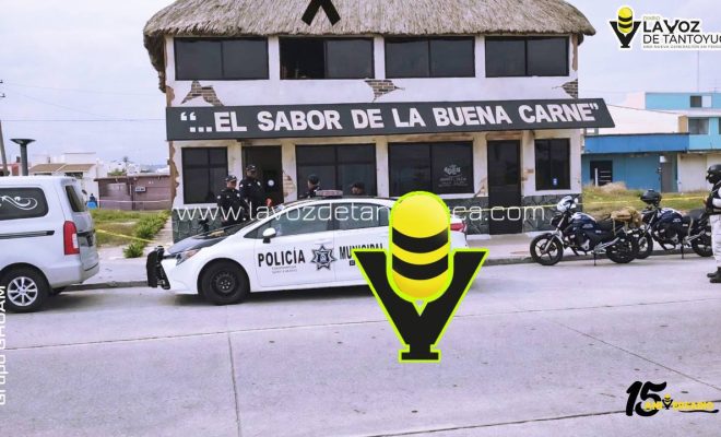 photo_5127656262815386913_y