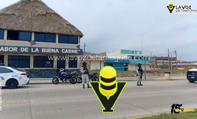 photo_5127656262815386914_y