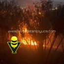 Controlan incendio en predio particular en la Colonia Loma del Ciervo en Tantoyuca