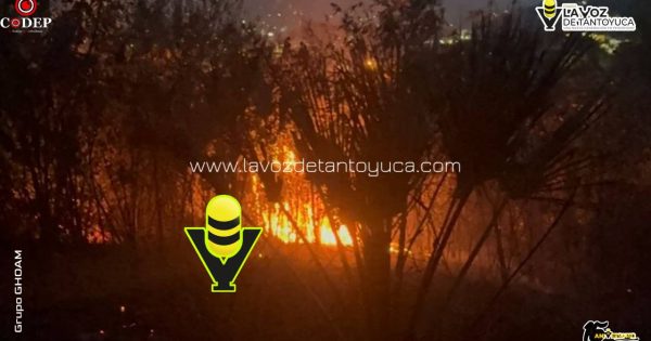Controlan incendio en predio particular en la Colonia Loma del Ciervo en Tantoyuca