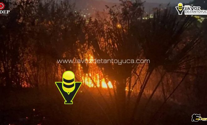 Controlan incendio en predio particular en la Colonia Loma del Ciervo en Tantoyuca