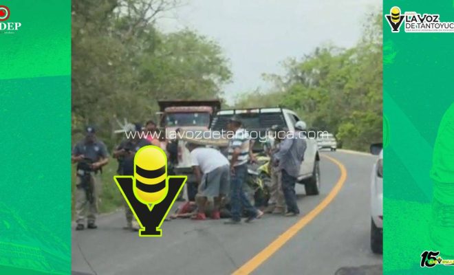 photo_5127694591103536125_y