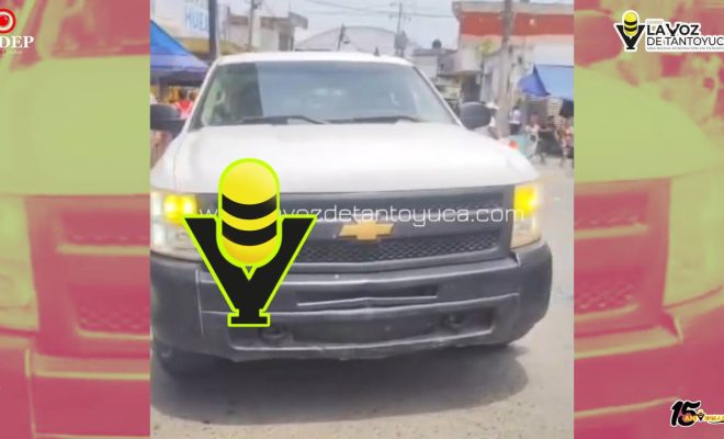 photo_5127694591103536130_y