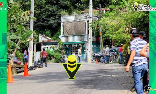 photo_5127694591103536136_y