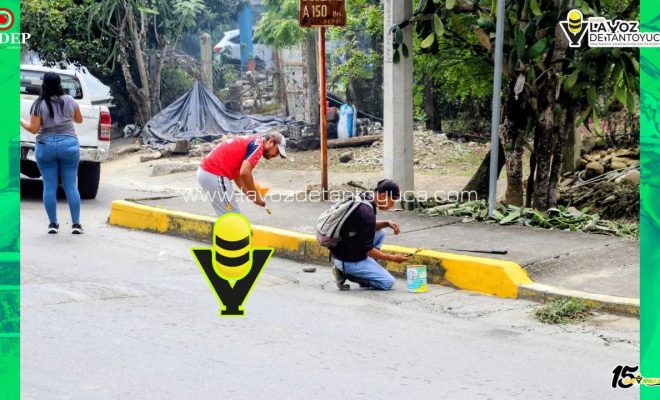 photo_5127694591103536139_y