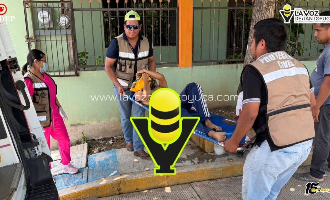 photo_5127694591103536145_y