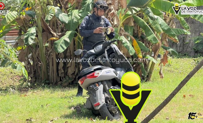 photo_5127694591103536149_y