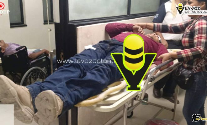 photo_5127694591103536191_y