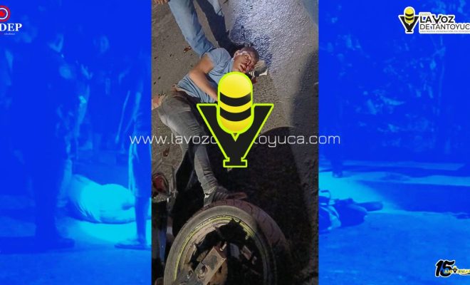 photo_5127694591103536192_y