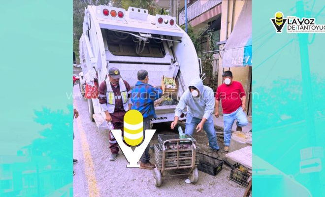 photo_5127788092541569979_y