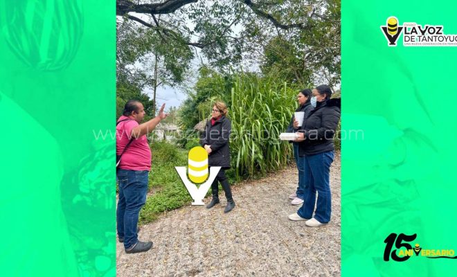 photo_5127788092541570041_y