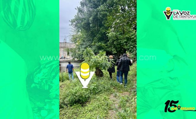 photo_5127788092541570042_y